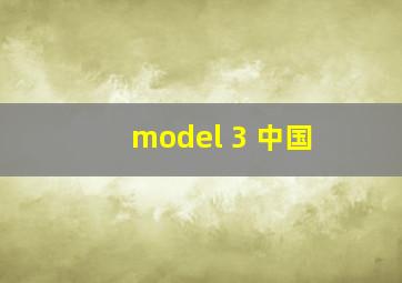 model 3 中国